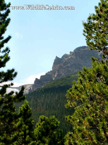 Click Picture to send as an  E-PostCard 65k 412x550